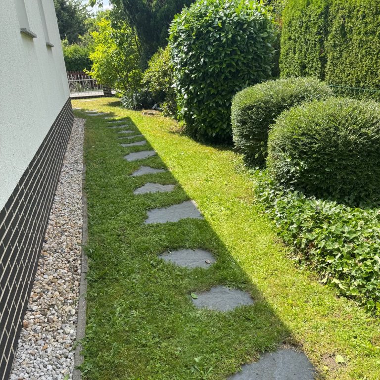 Gartenweg mit Gras und Kies, gesäumt von runden Buchsbäumen.